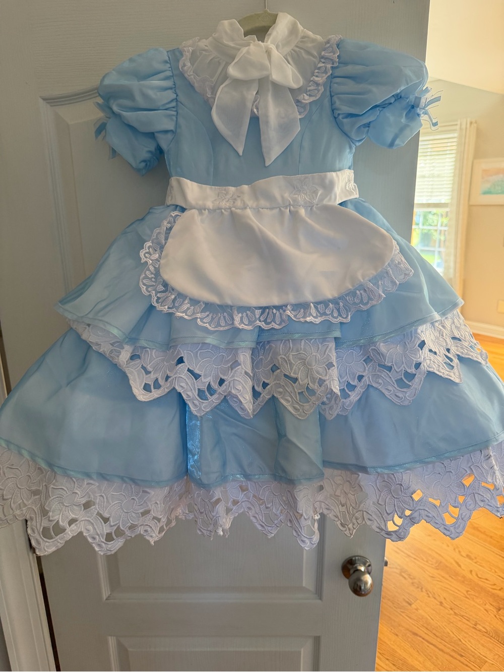 Alice in Wonderland Dress Girl Size 6 Disney Chasing Fireflies $55